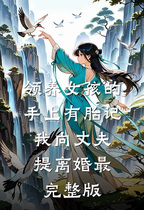 领养女孩的手上有胎记，我向丈夫提离婚最完整版