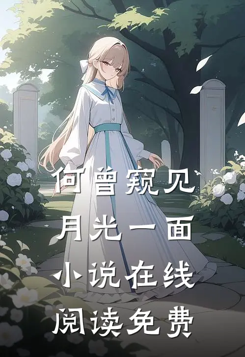 何曾窥见月光一面小说在线阅读免费