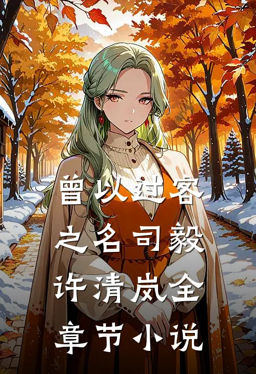 曾以过客之名司毅许清岚全章节小说