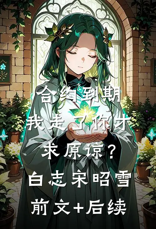 合约到期，我走了你才求原谅？白志宋昭雪前文+后续