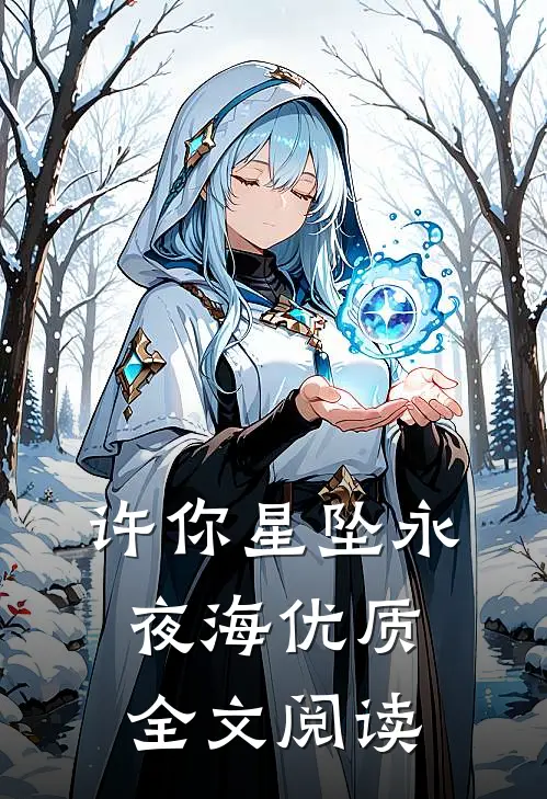 许你星坠永夜海优质全文阅读