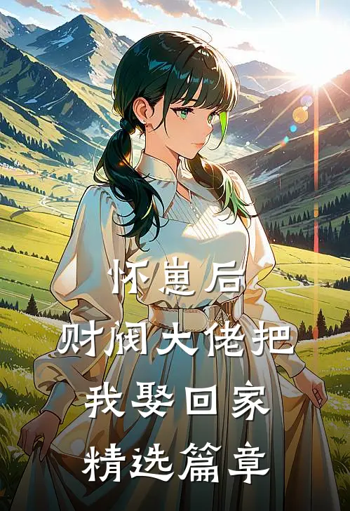 怀崽后，财阀大佬把我娶回家精选篇章