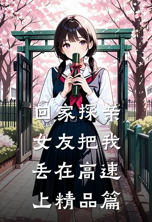 回家探亲，女友把我丢在高速上精品篇
