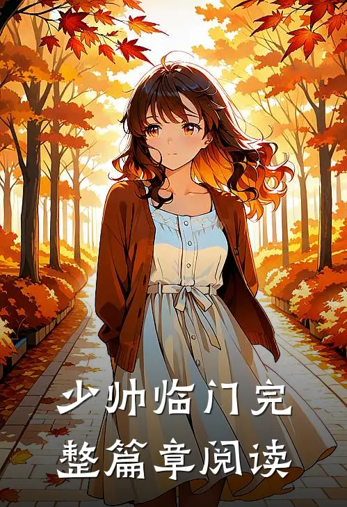 少帅临门完整篇章阅读