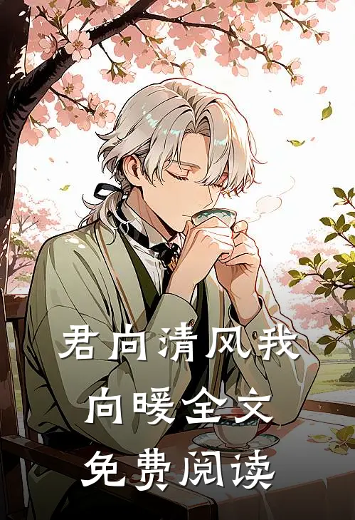 君向清风我向暖全文免费阅读