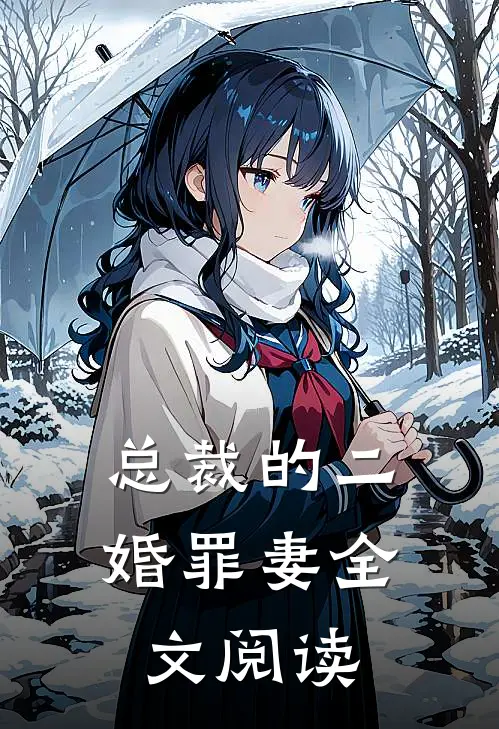 总裁的二婚罪妻全文阅读