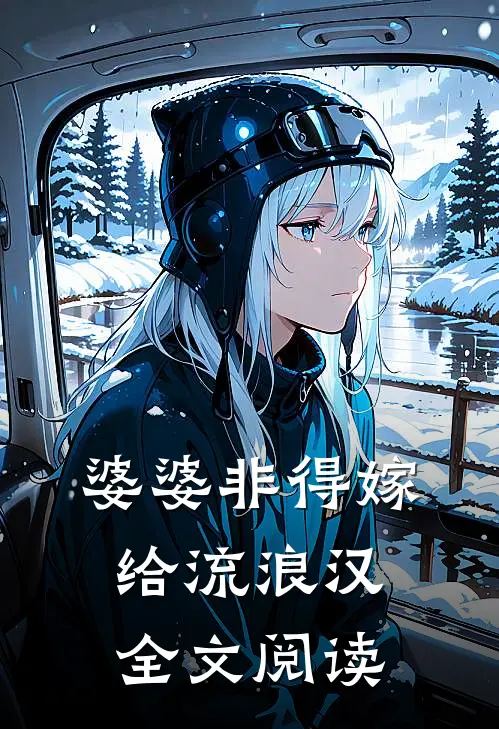 婆婆非得嫁给流浪汉全文阅读