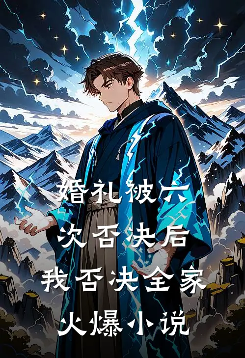 婚礼被六次否决后，我否决全家火爆小说