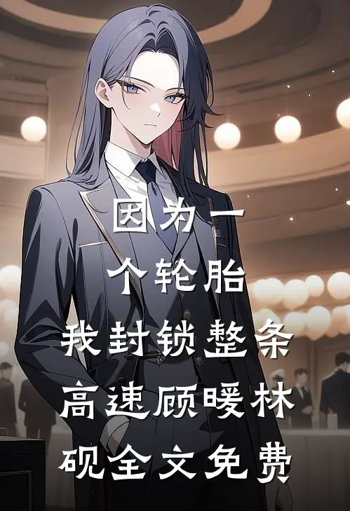 因为一个轮胎，我封锁整条高速顾暖林砚全文免费