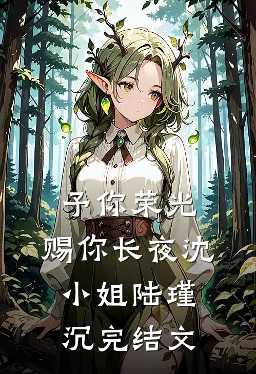 予你荣光，赐你长夜沈小姐陆瑾沉完结文