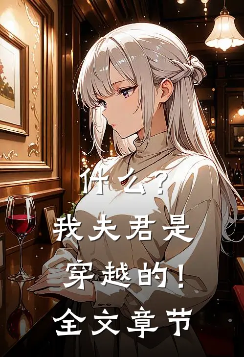 什么？我夫君是穿越的！全文章节