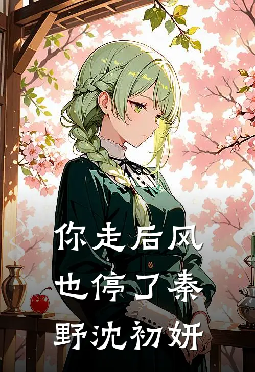 你走后风也停了秦野沈初妍