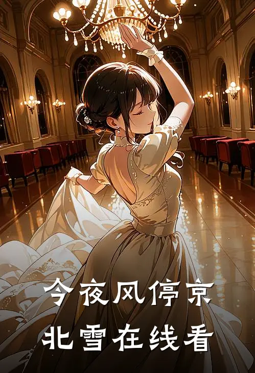 今夜风停京北雪在线看