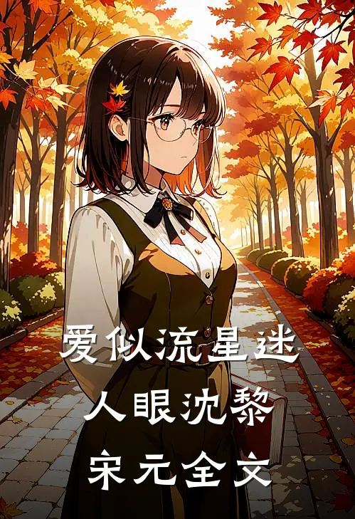 爱似流星迷人眼沈黎宋元全文