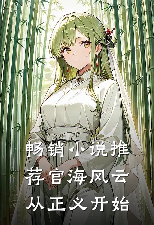 畅销小说推荐官海风云：从正义开始
