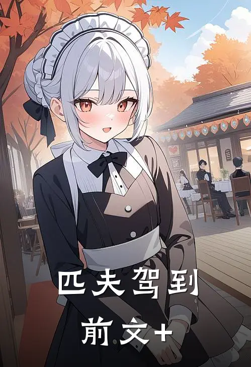 匹夫驾到前文+