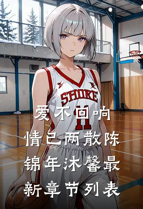 爱不回响，情已两散陈锦年沐馨最新章节列表