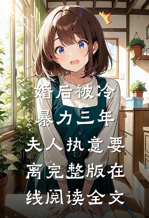 婚后被冷暴力三年，夫人执意要离完整版在线阅读全文