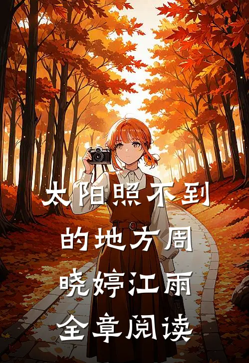 太阳照不到的地方周晓婷江雨全章阅读