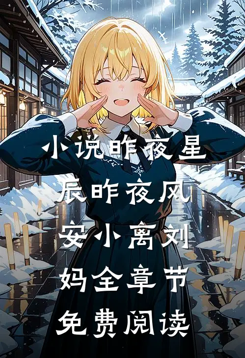小说昨夜星辰昨夜风安小离刘妈全章节免费阅读