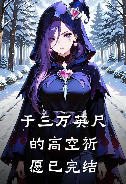 于三万英尺的高空祈愿已完结