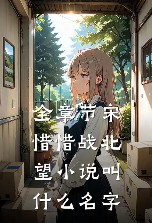 全章节宋惜惜战北望小说叫什么名字
