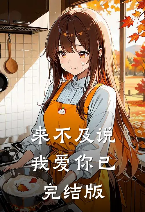 来不及说我爱你已完结版