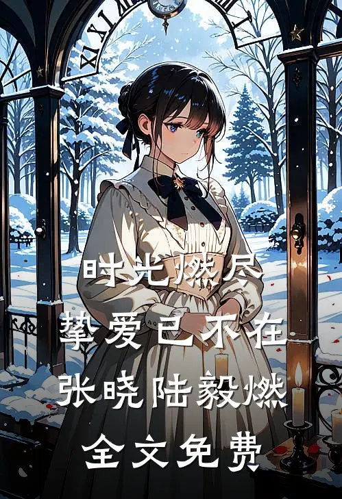 时光燃尽，挚爱已不在张晓陆毅燃全文免费