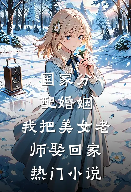 国家分配婚姻，我把美女老师娶回家热门小说
