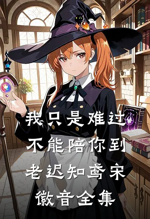 我只是难过不能陪你到老迟知鸢宋徽音 全集