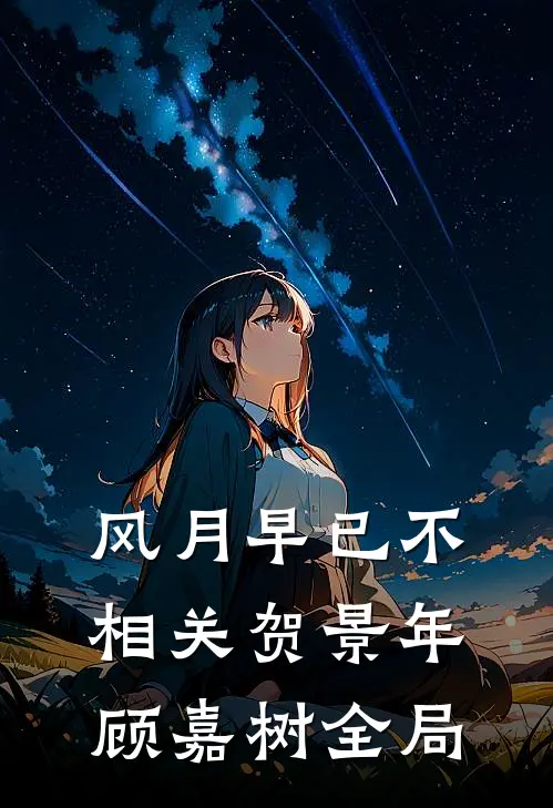 风月早已不相关贺景年顾嘉树全局