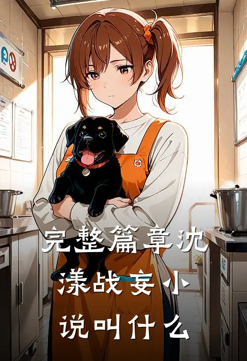 完整篇章沈漾战妄小说叫什么