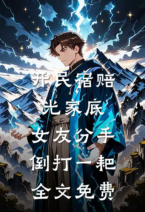 开民宿赔光家底，女友分手倒打一耙全文免费