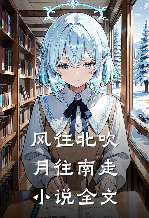 风往北吹月往南走小说全文