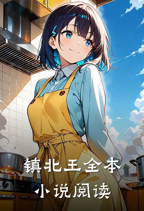 镇北王全本小说阅读