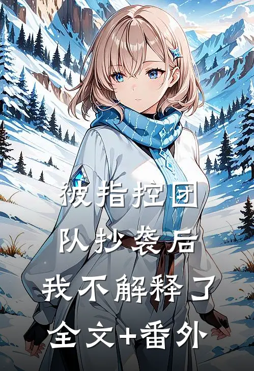 被指控团队抄袭后，我不解释了全文+番外