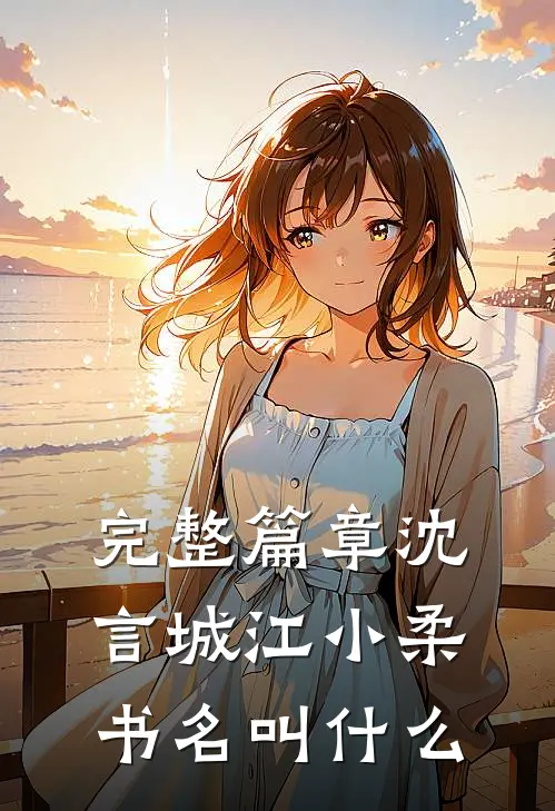 完整篇章沈言城江小柔书名叫什么