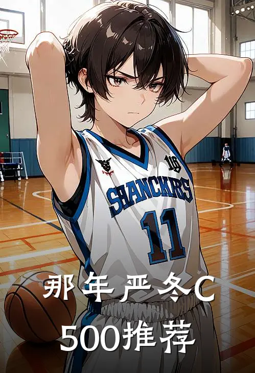 那年严冬C500推荐