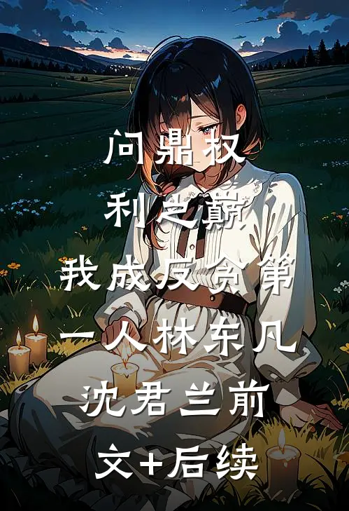 问鼎权利之巅，我成反贪第一人林东凡沈君兰前文+后续