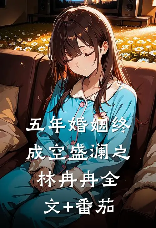 五年婚姻终成空盛澜之林冉冉全文+番茄