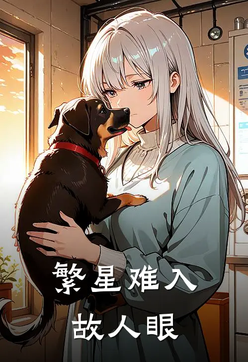 繁星难入故人眼