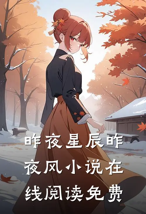 昨夜星辰昨夜风小说在线阅读免费