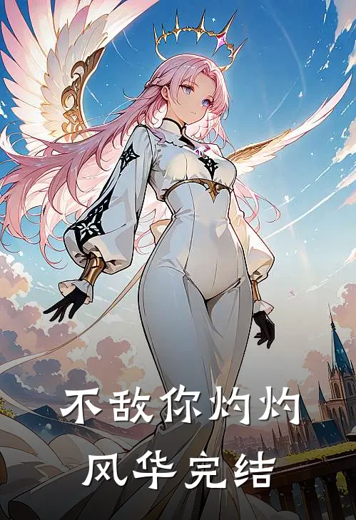 不敌你灼灼风华完结