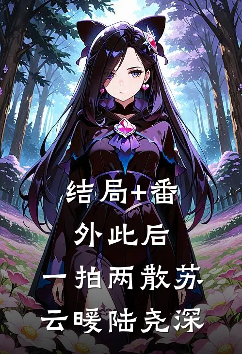 结局+番外此后，一拍两散苏云暖陆尧深