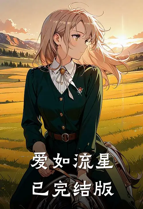 爱如流星已完结版