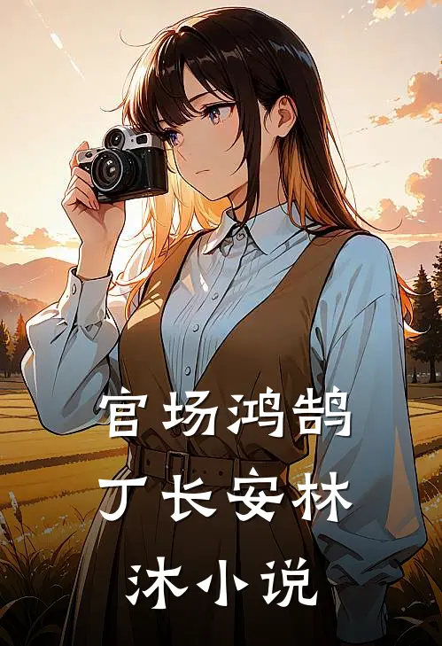 官场鸿鹄丁长安林沐小说