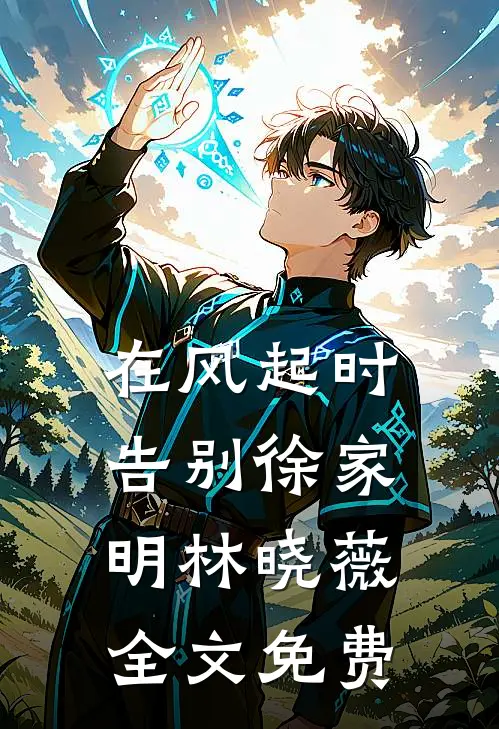 在风起时告别徐家明林晓薇全文免费