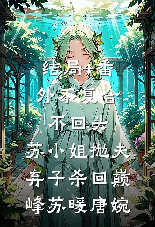 结局+番外不复合，不回头，苏小姐抛夫弃子杀回巅峰苏暖唐婉