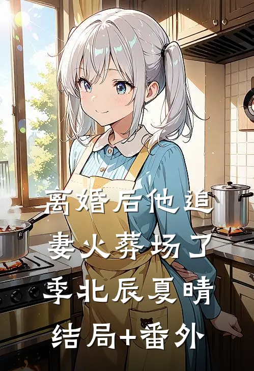 离婚后他追妻火葬场了季北辰夏晴结局+番外