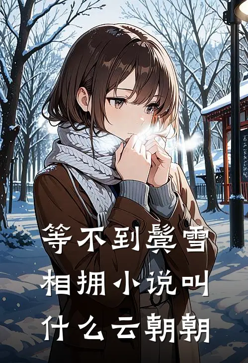 等不到鬓雪相拥小说叫什么云朝朝